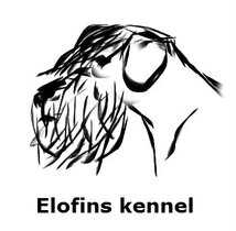 Elofins kennel